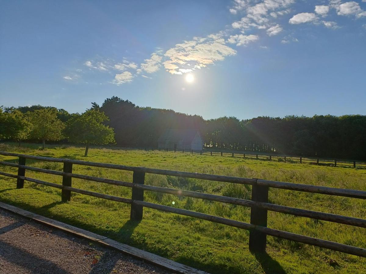 Domaine De Janville Paluel エクステリア 写真